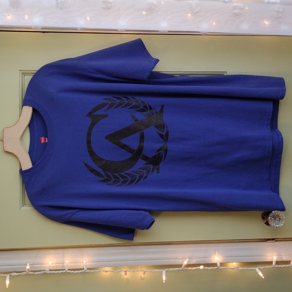 Men's CA Large tagless Hanes royal blue T-shirt 👕